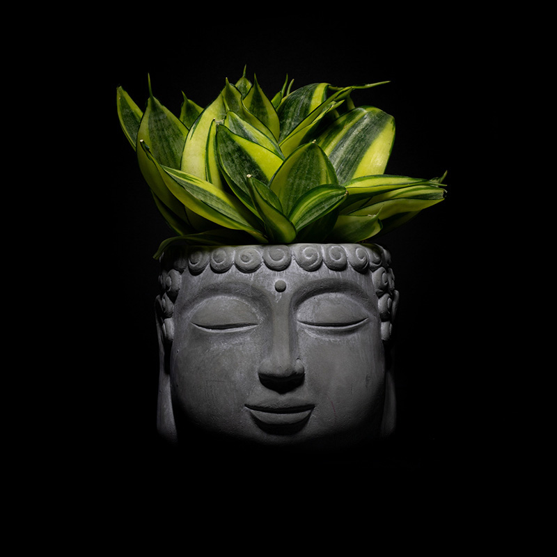 Budha-Beschrift